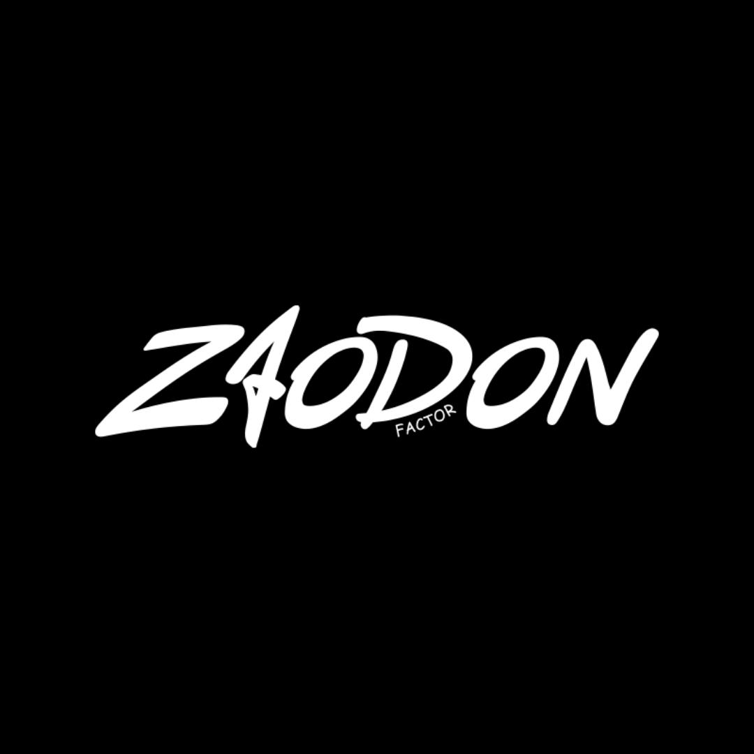ZAODON Factor噪动因子