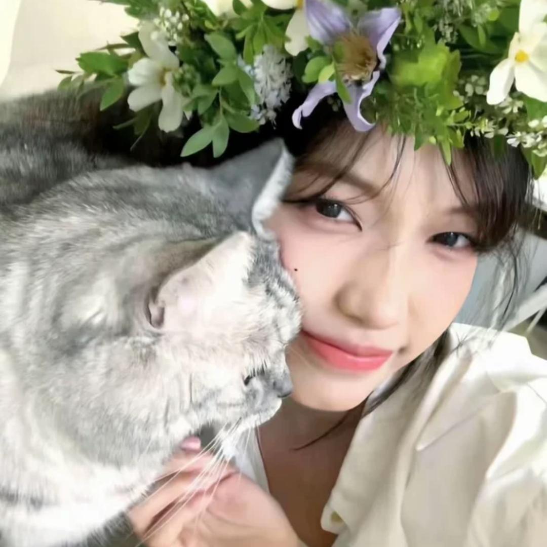 辰辰好物馆1