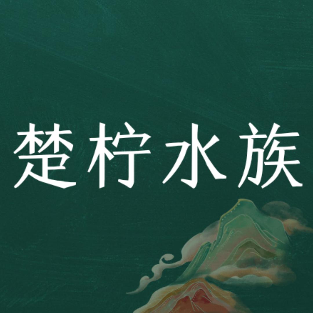 楚柠水族
