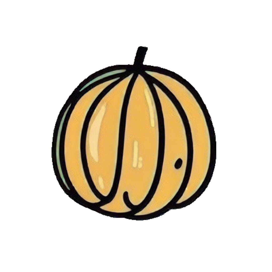 老瓜视界