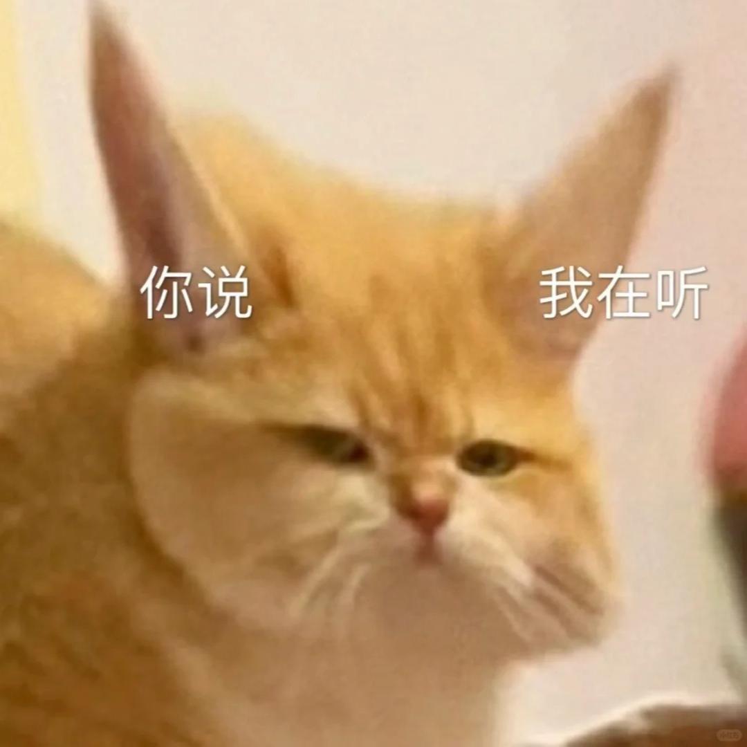 小猫吃不饱