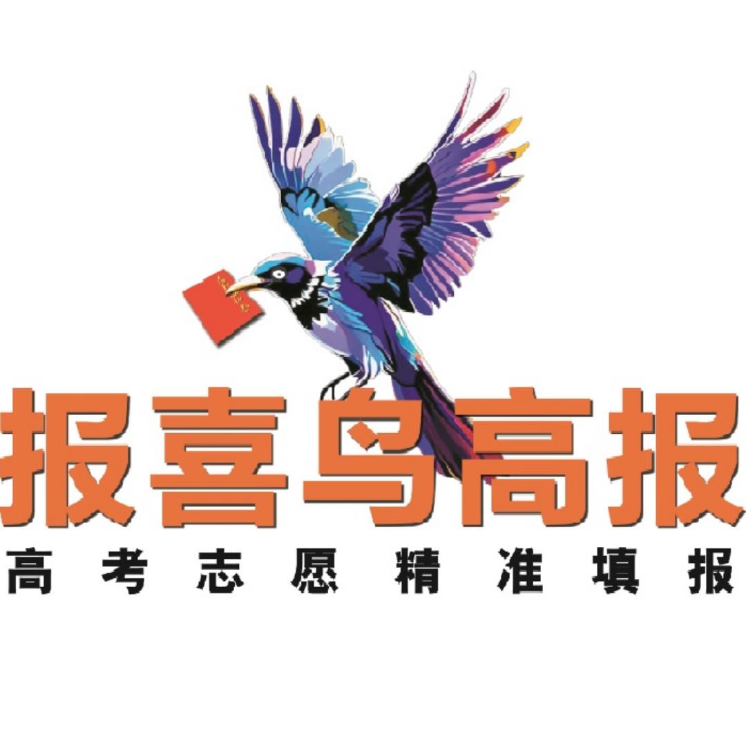 报喜鸟高报教育