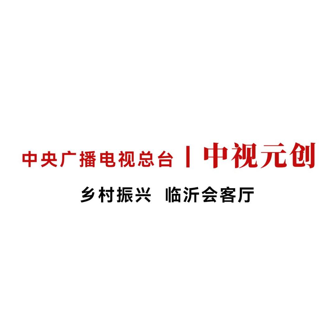 中视元创 | 临沂会客厅
