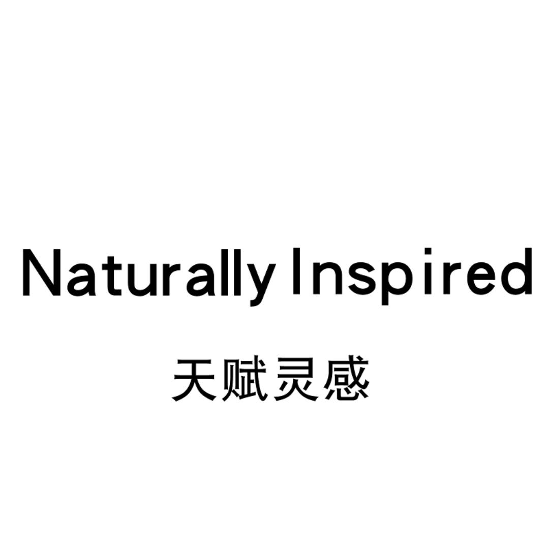 天赋灵感