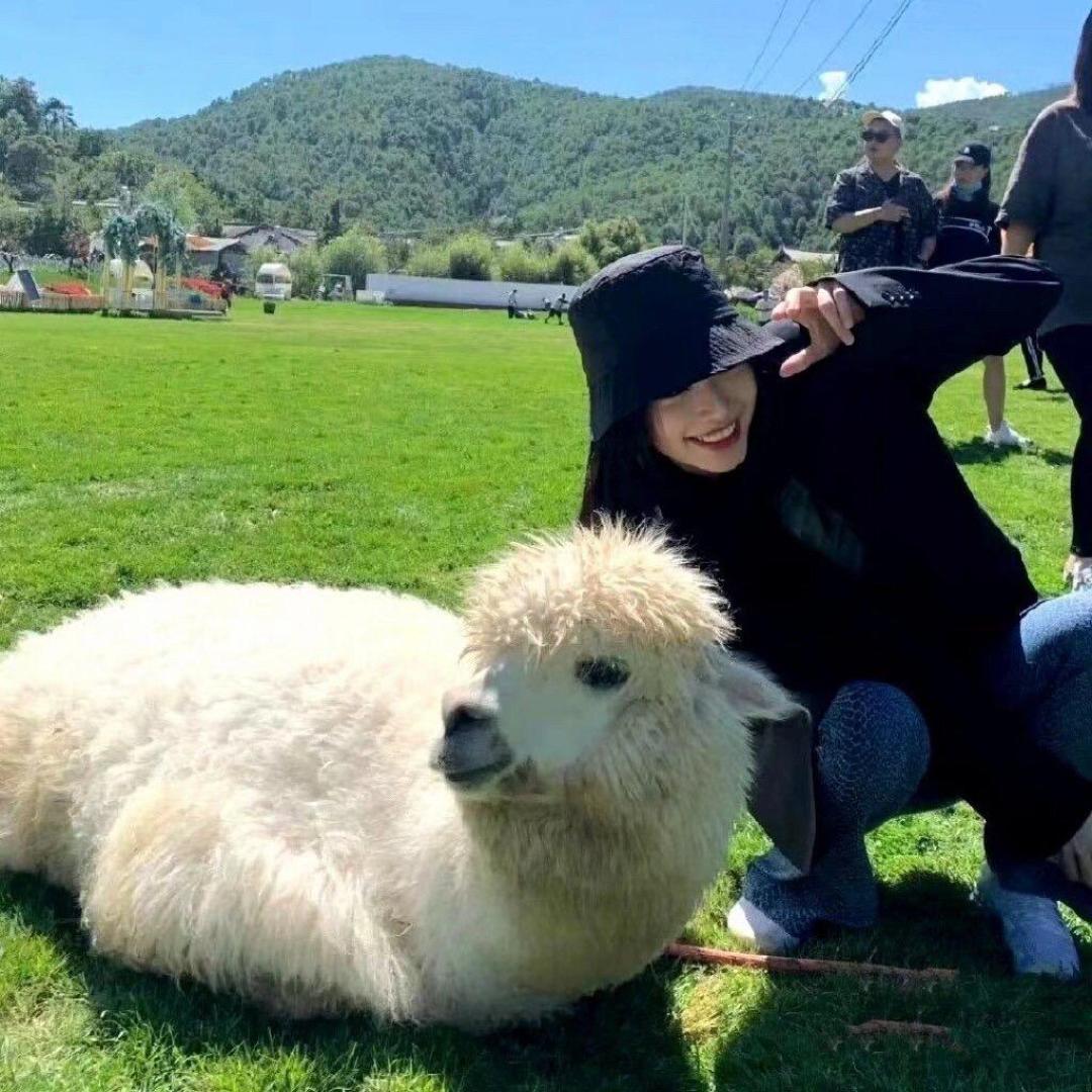 小洋羊小呀