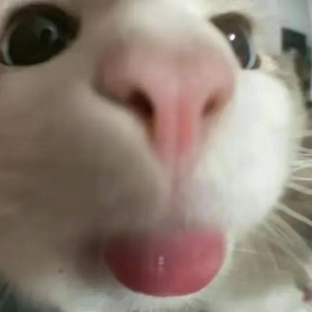 和言和语
