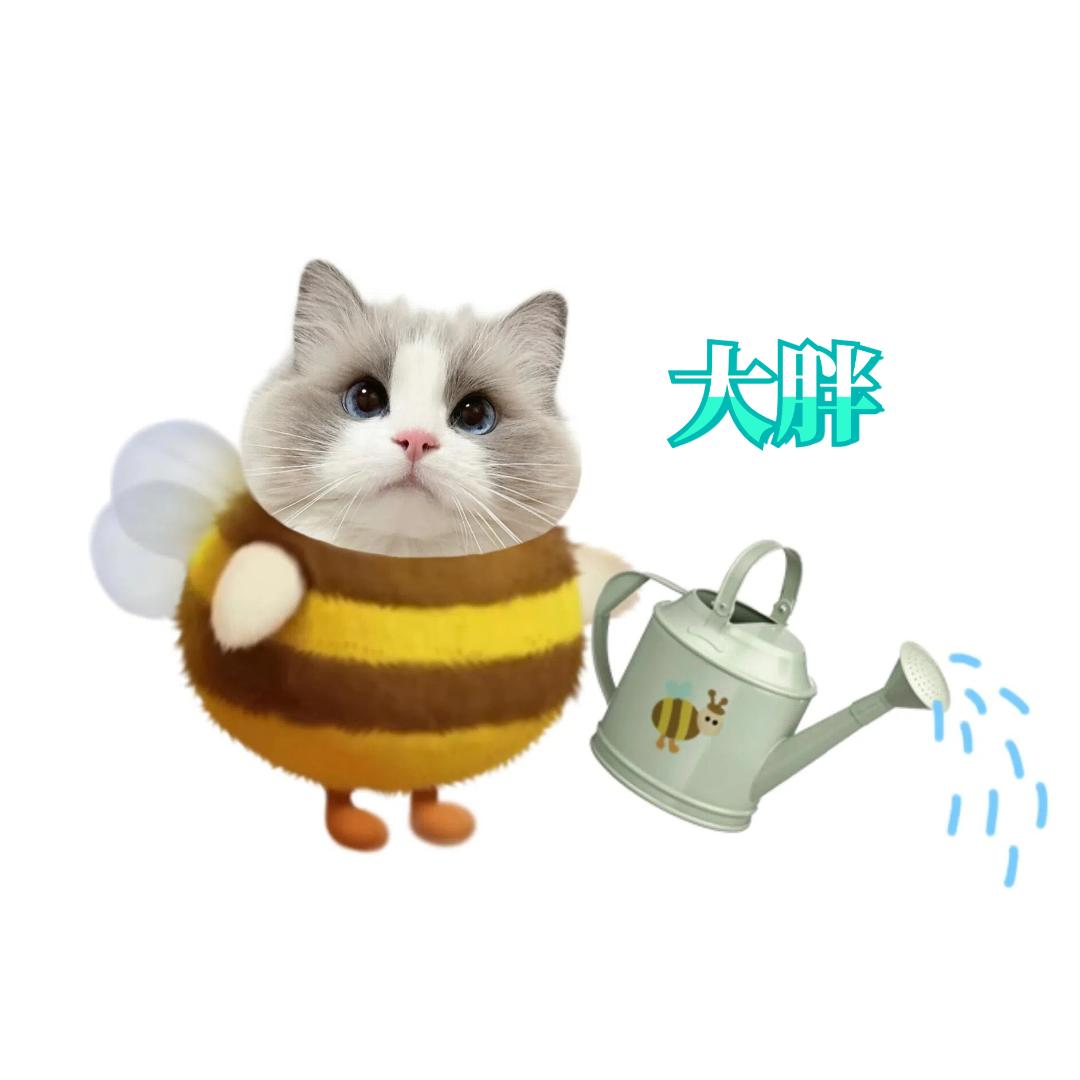猫砂王 大胖