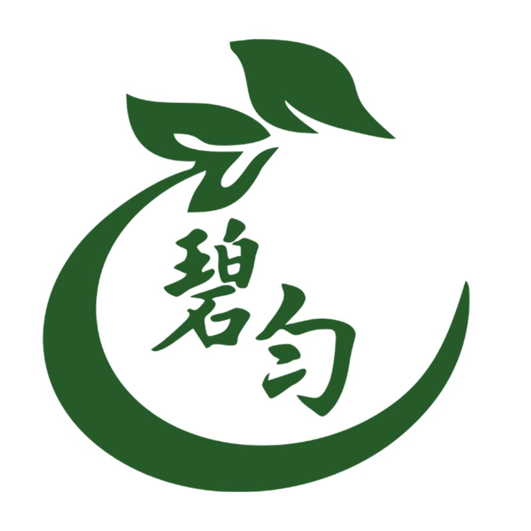 碧匀茶叶