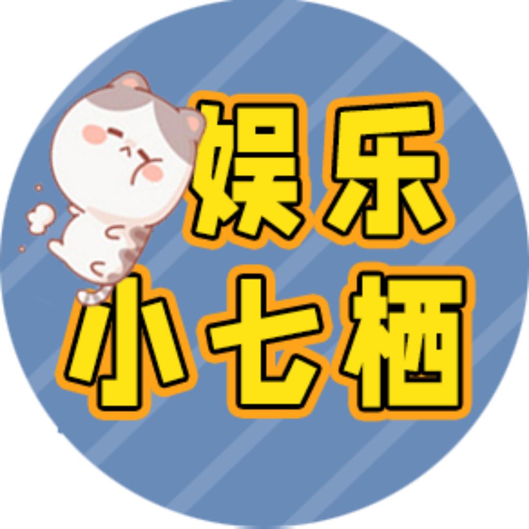 娱乐小七栖