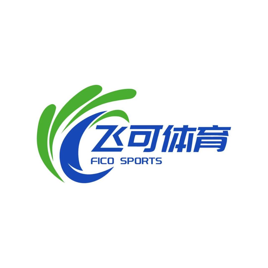 飞可羽毛球