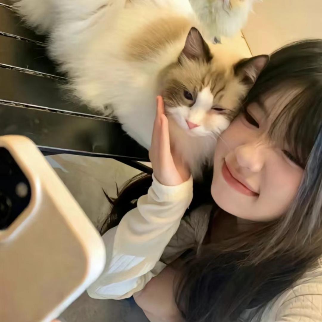 悠悠四件套
