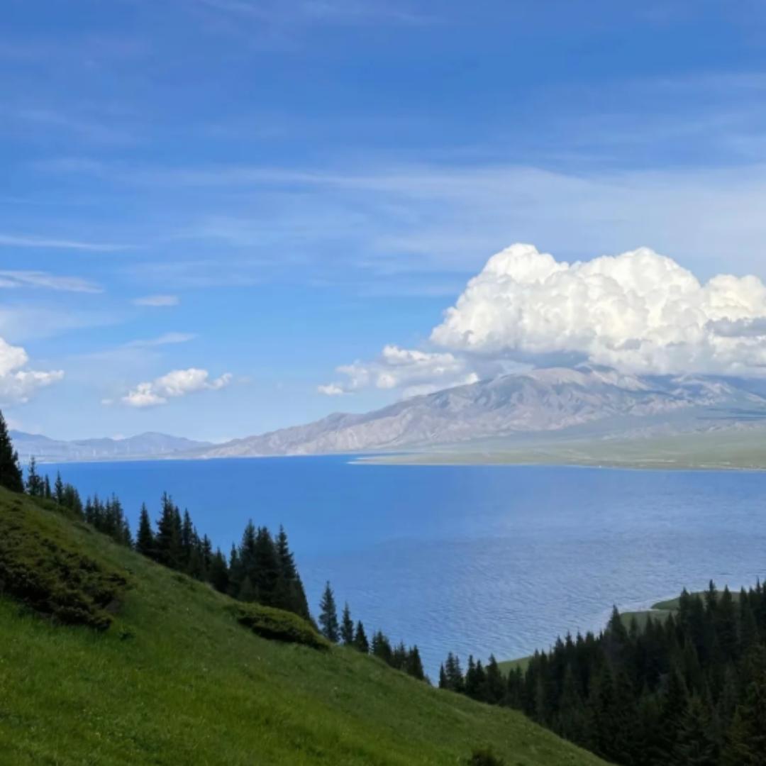 王加发甄选臻选阁