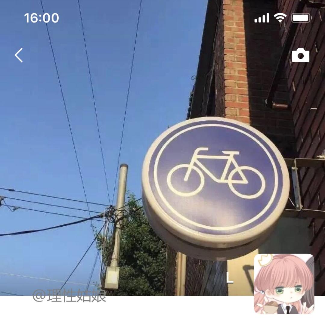 有风无风皆自由