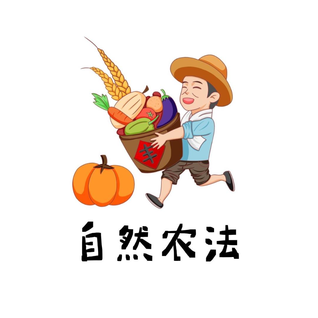 七里山林下散养土鸡蛋