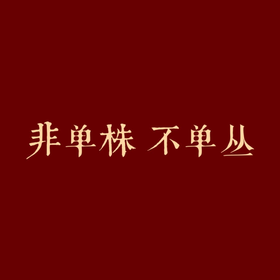 潮州四汖单丛