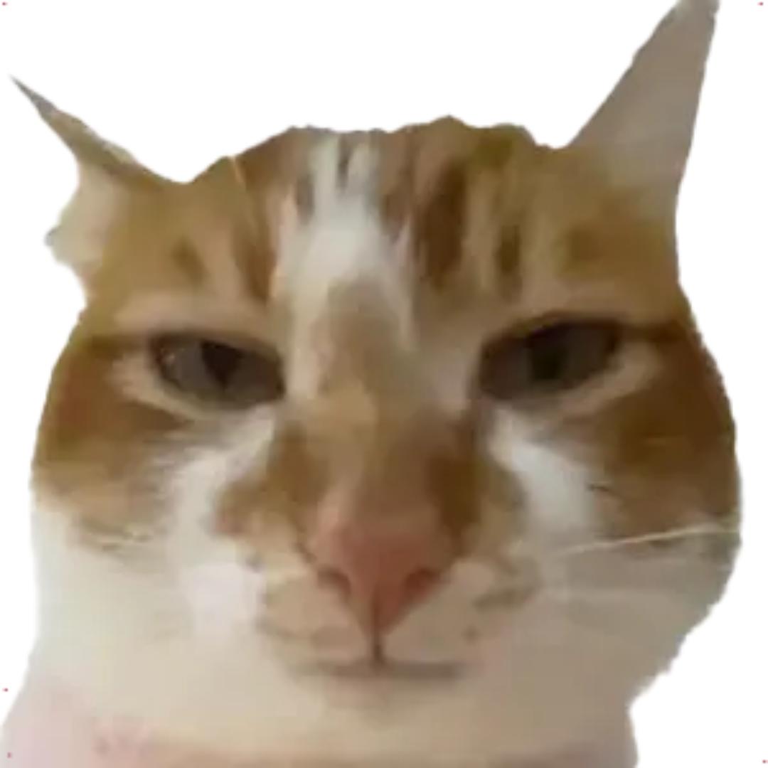 小左绝育版