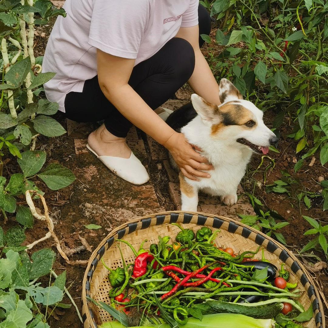 广西瑞盛合商贸有限公司
