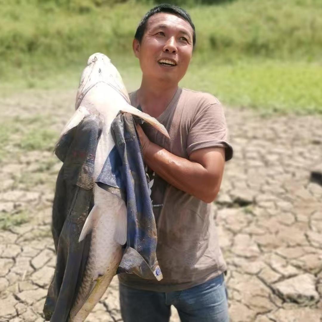 钓鱼观察