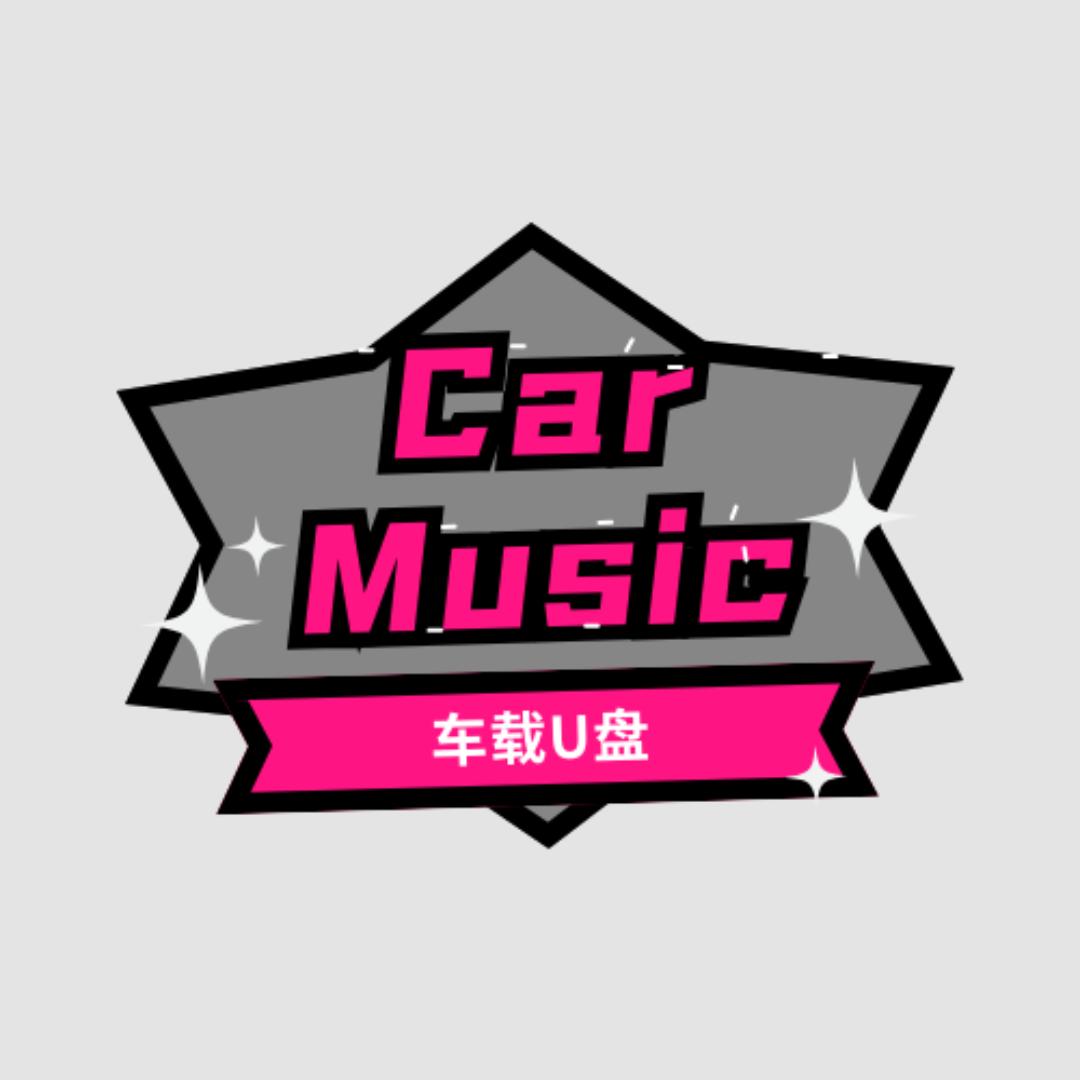 CarMusic<橱窗同款U盘>