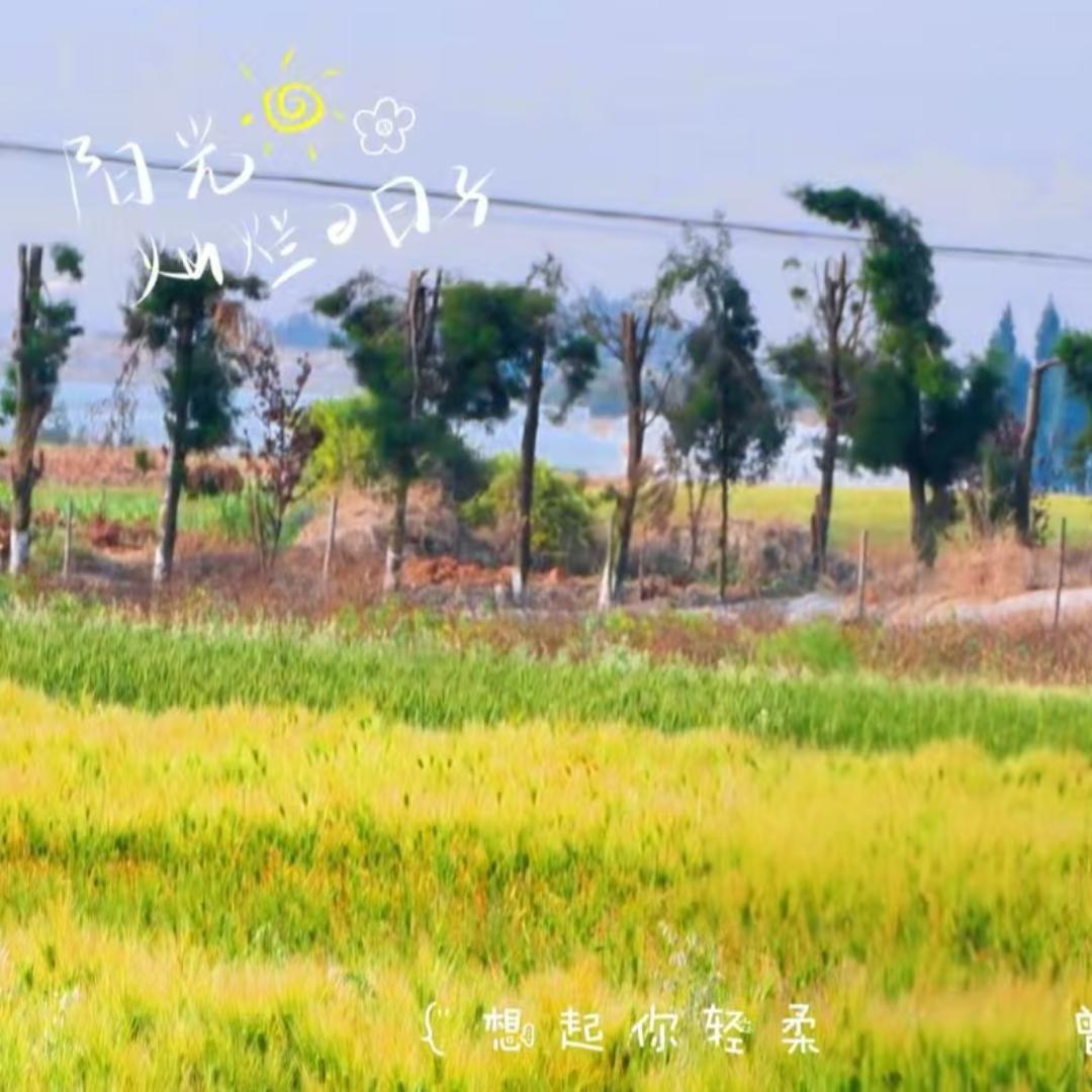 曲乡周游