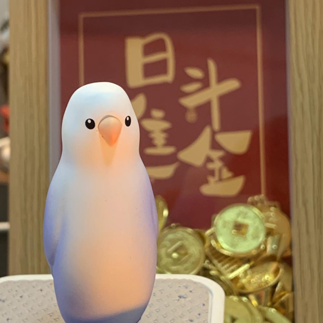 飞梦甄选