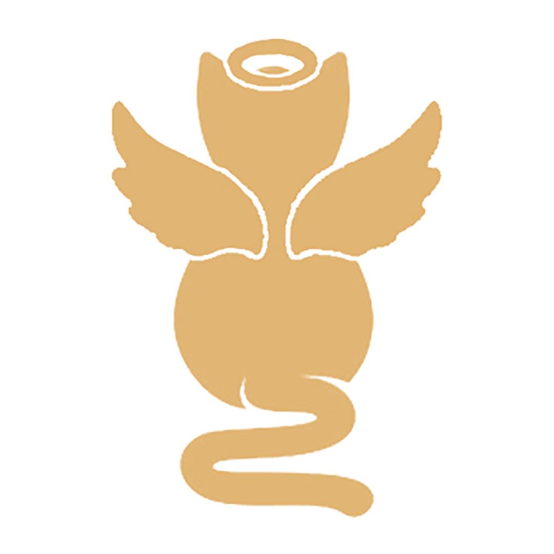 天使派对创意饰品