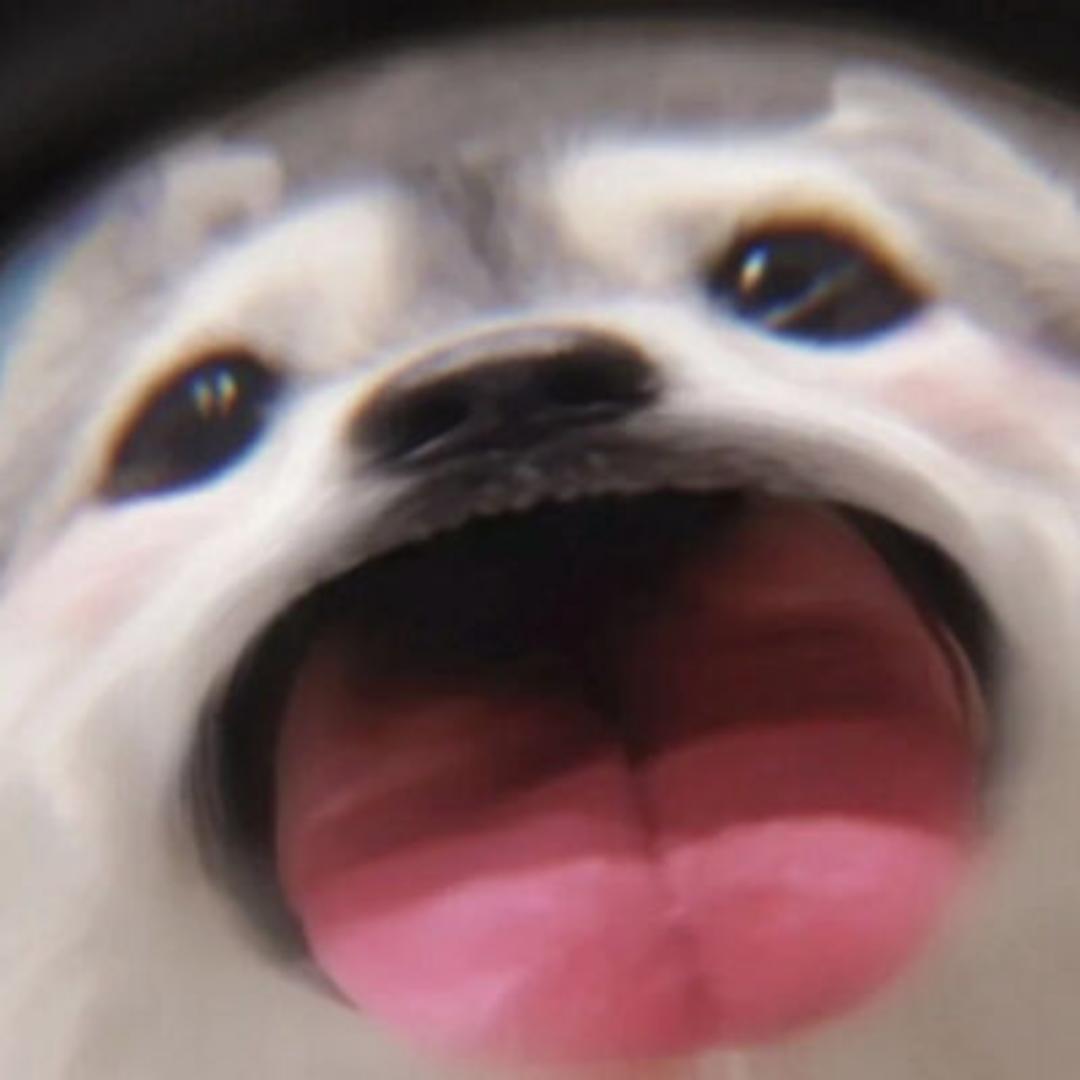 麋鹿.