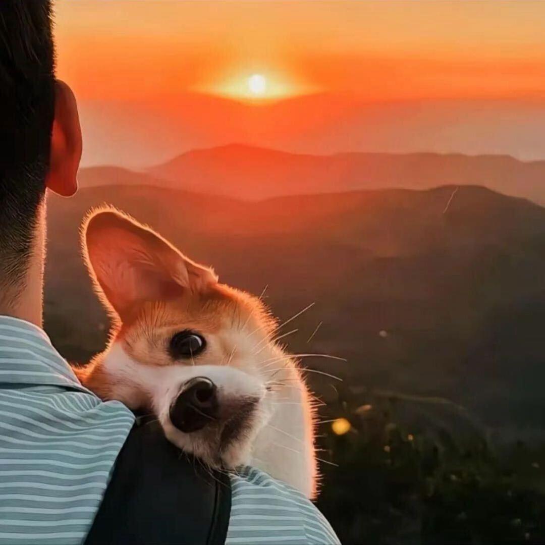 默千