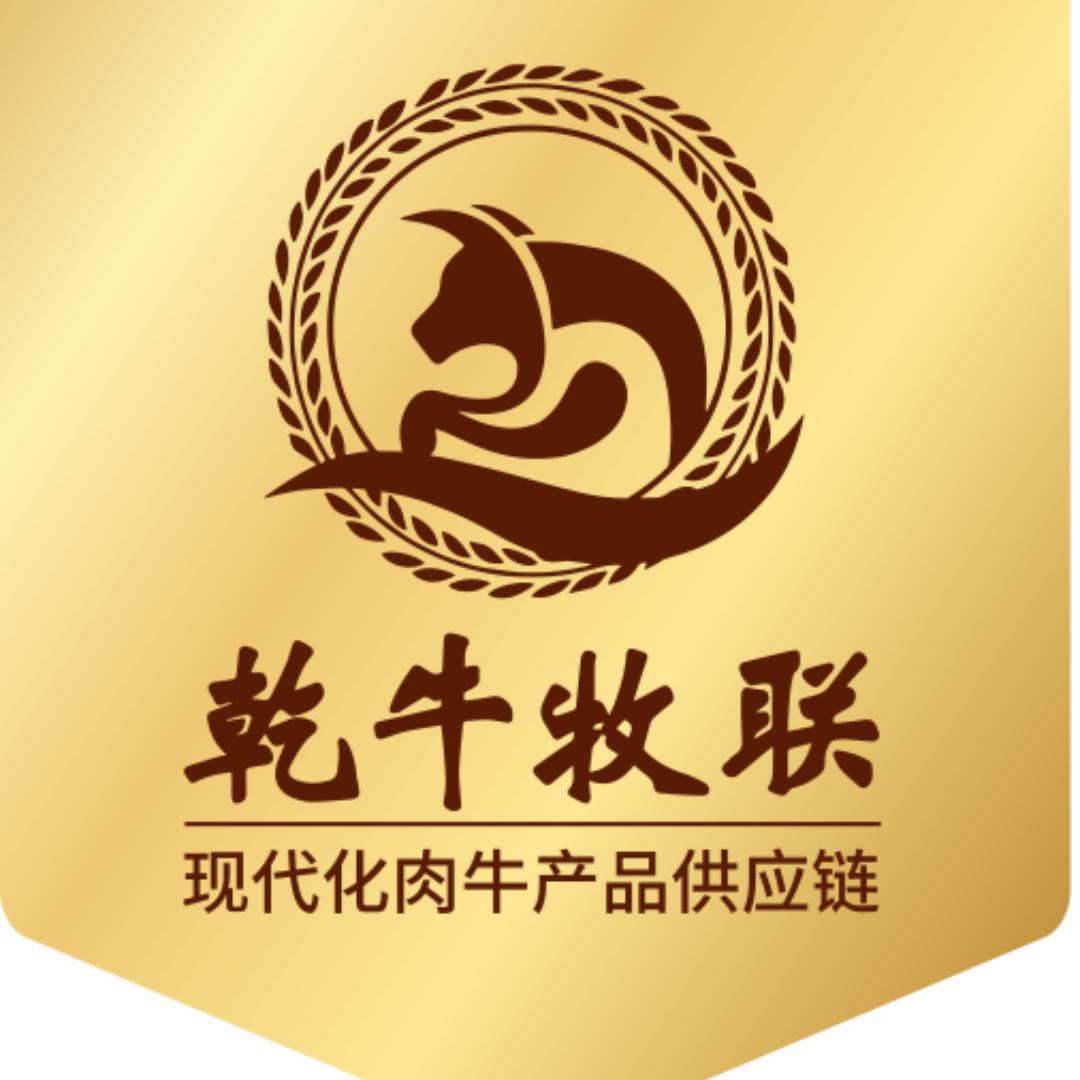 乾牛牧联八成熟牛腩粒工厂