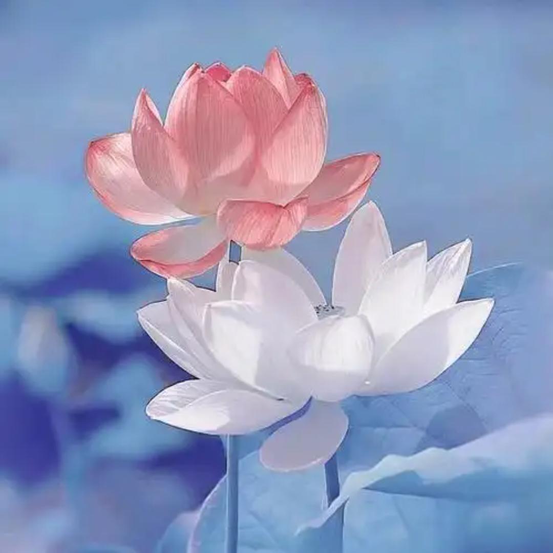 帅潦百货商场