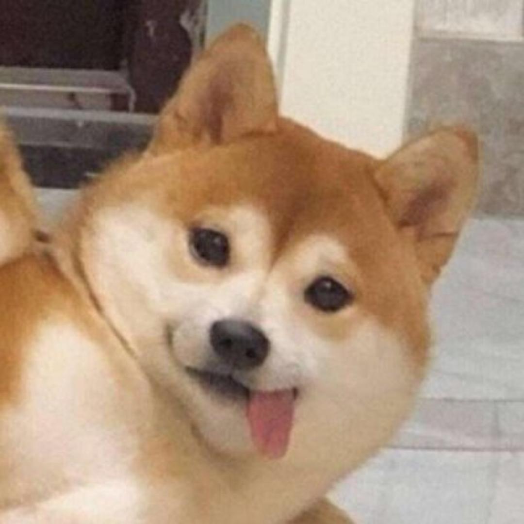 游戏所长