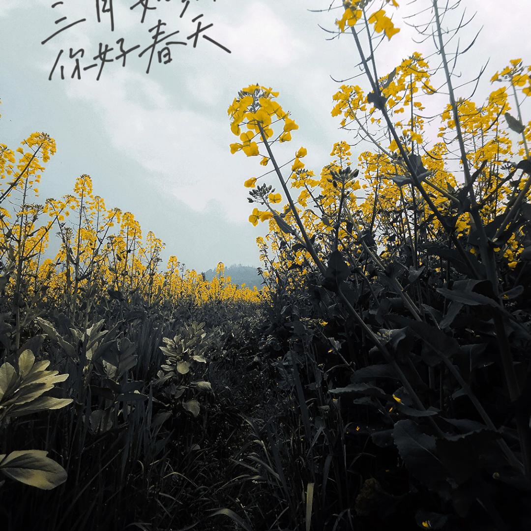 云边集市企业店