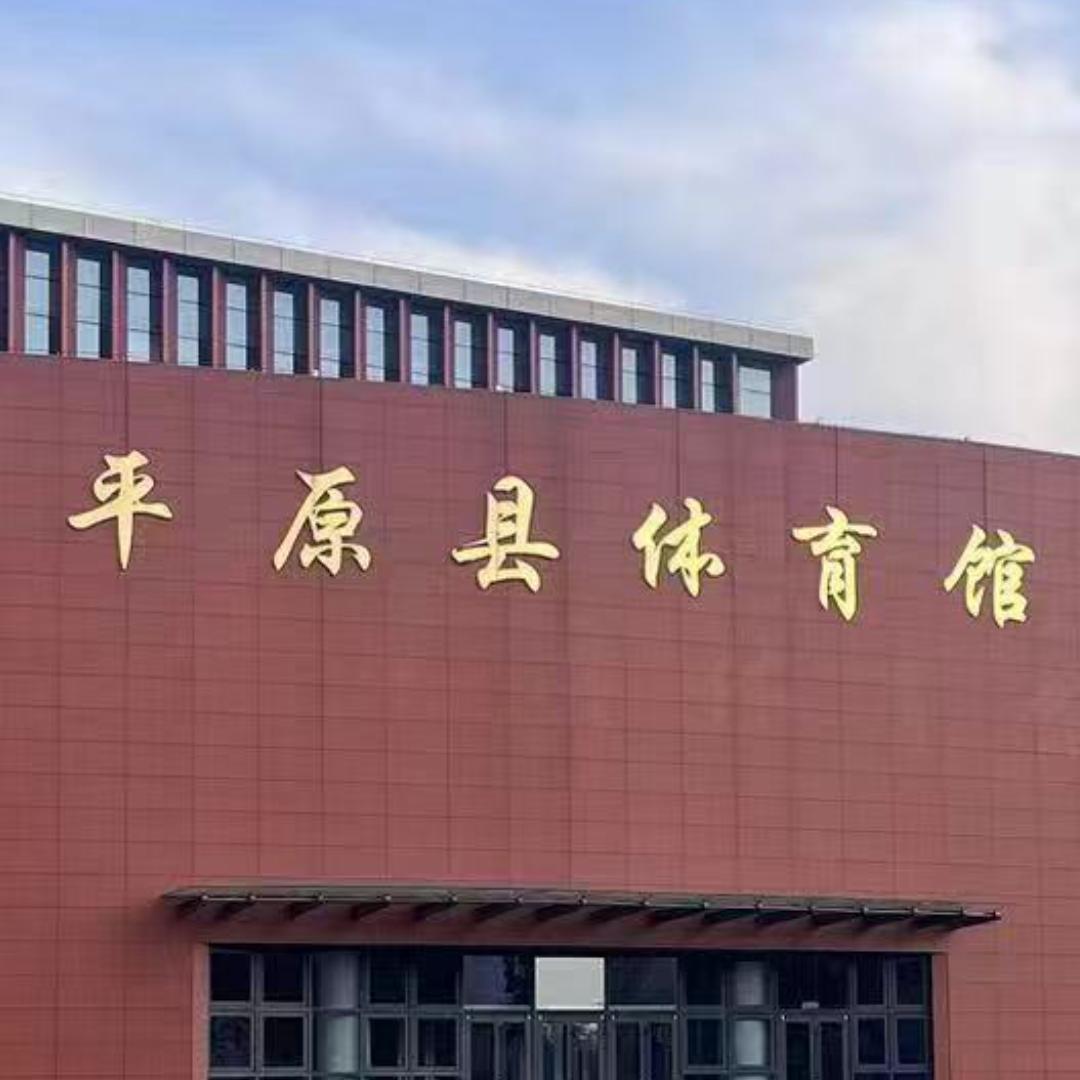平原县体育馆