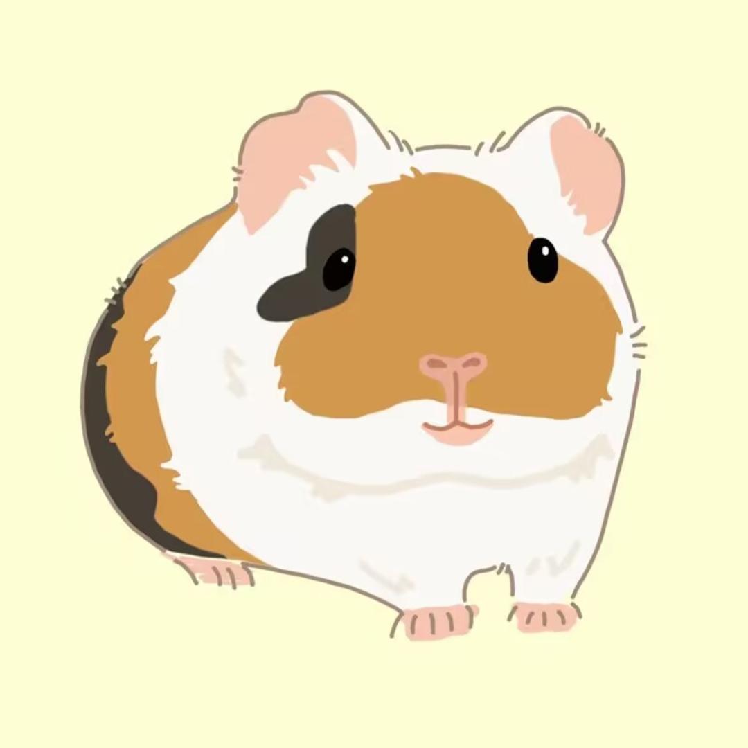 役次元豚鼠运营版