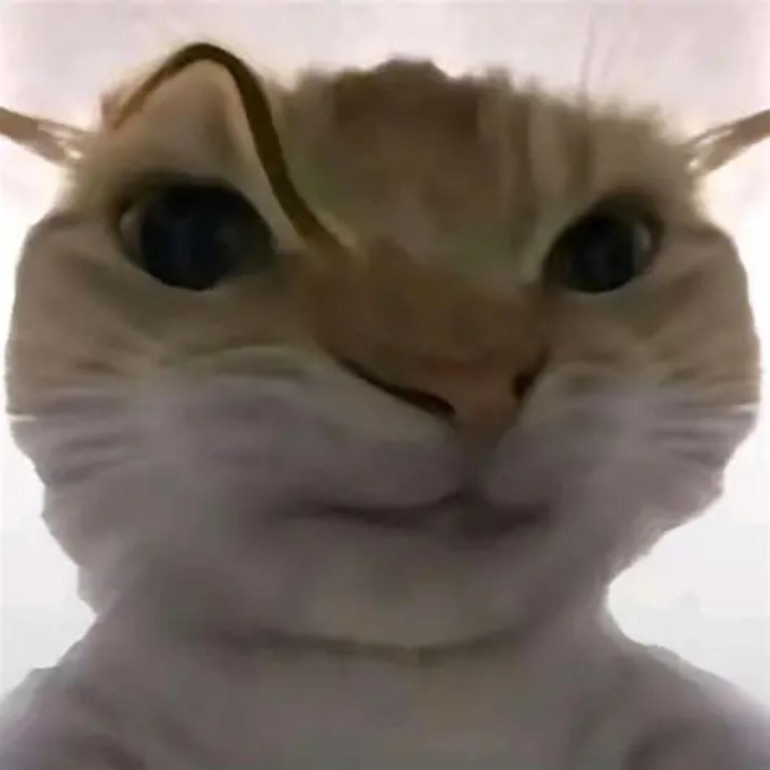 勋子zi