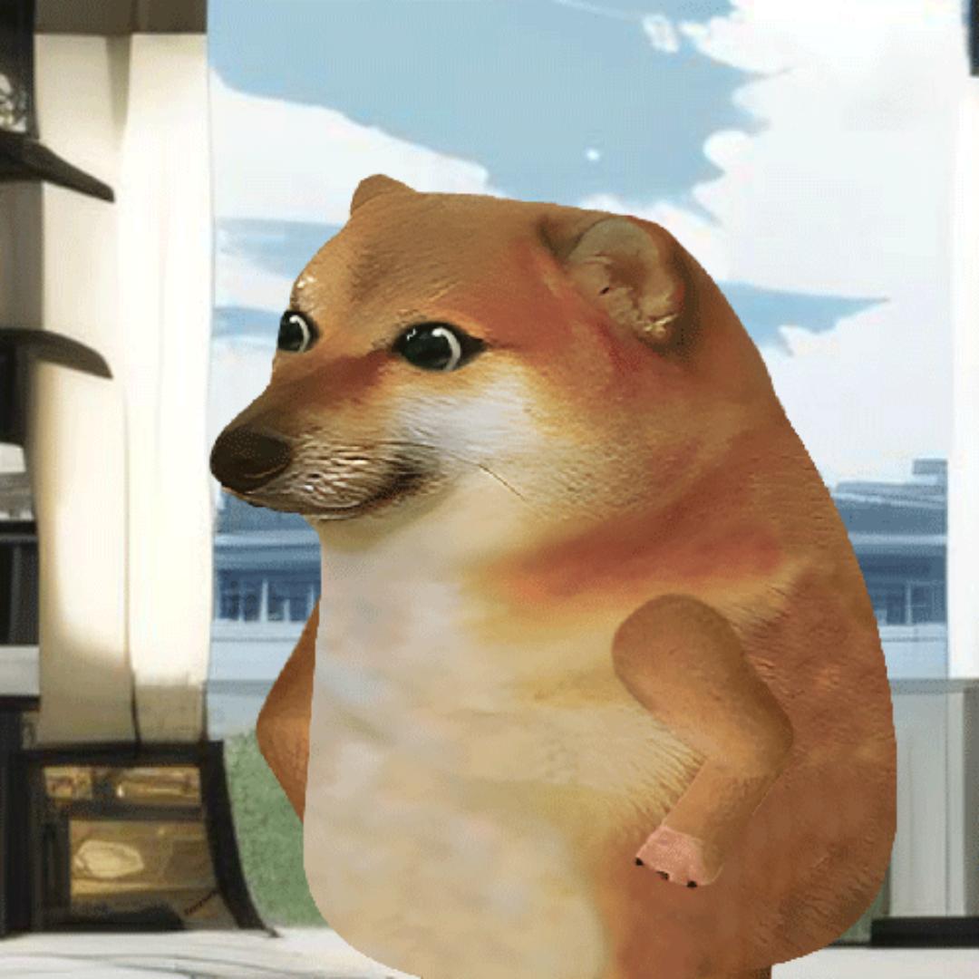 cheems小风