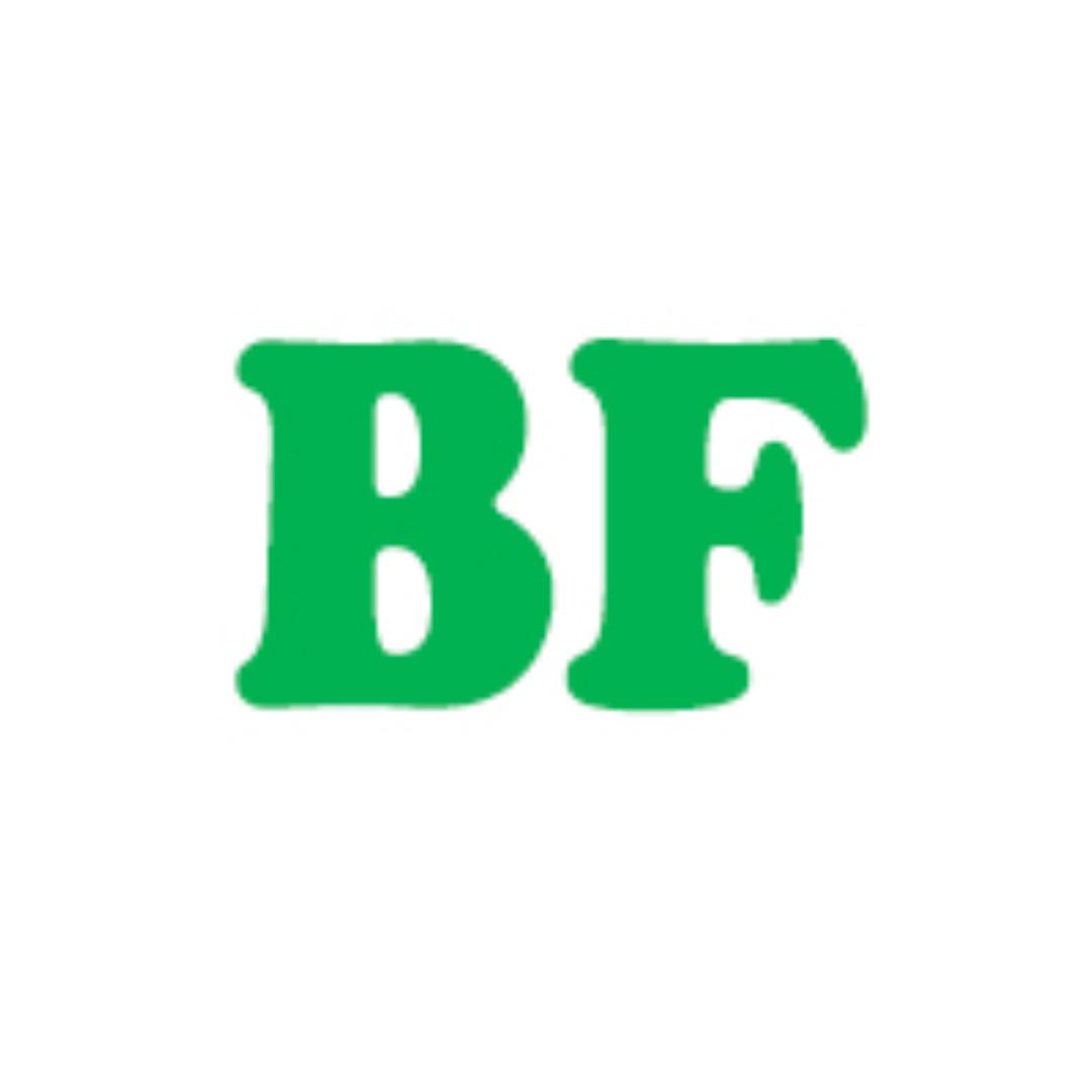 BF潮玩手办