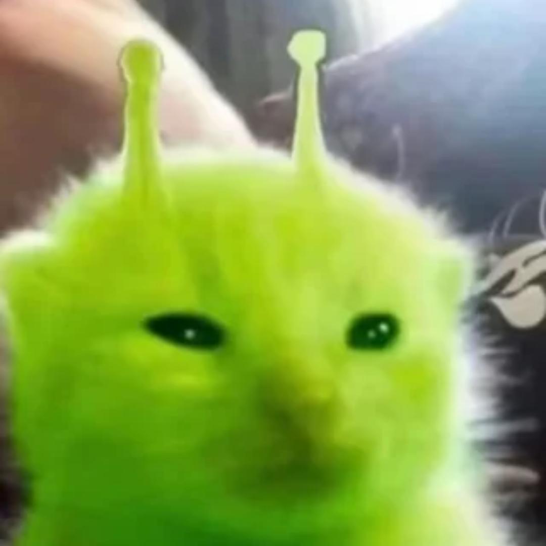 dhuqjshxujswjjwjz