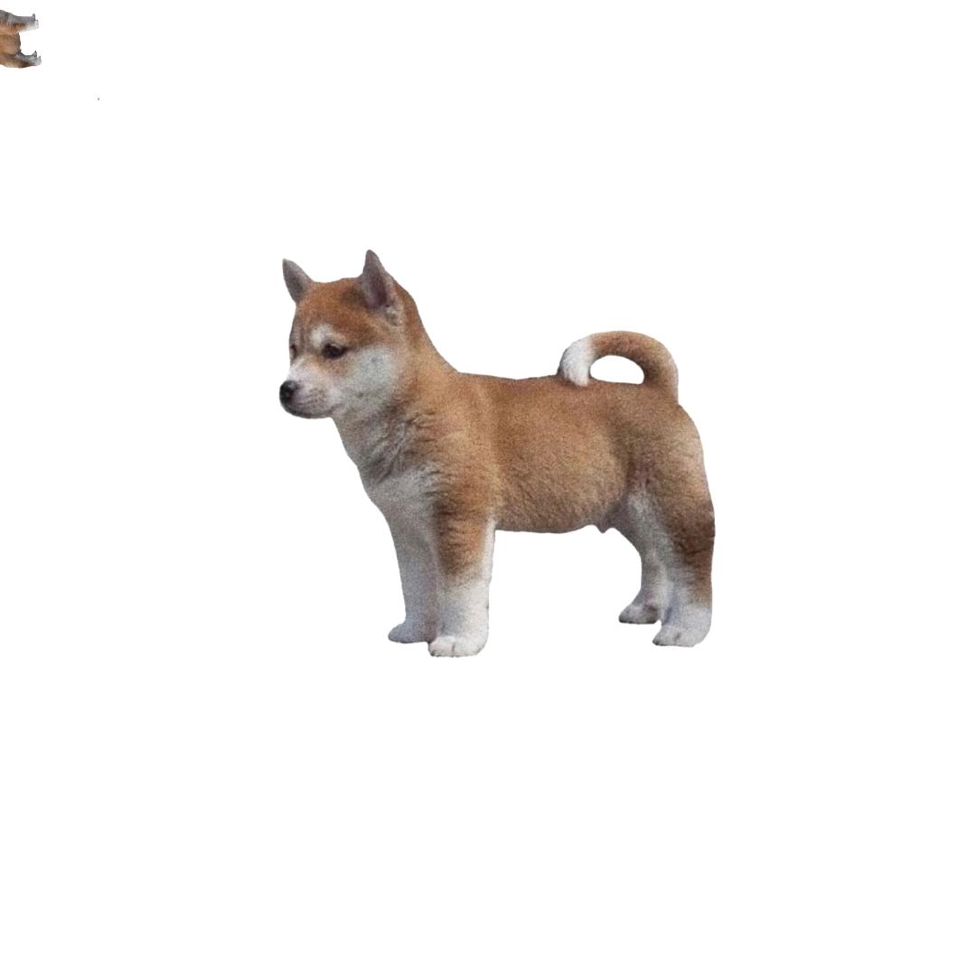 克里菜