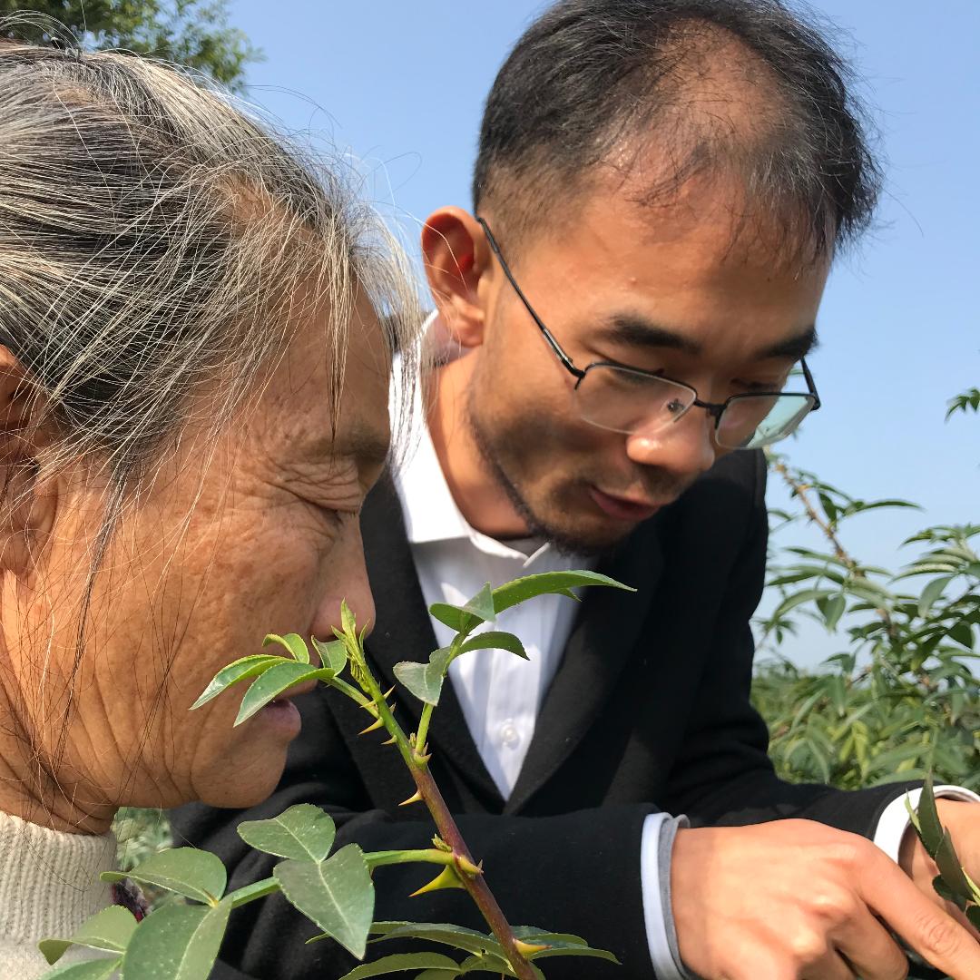 牛牛说农业