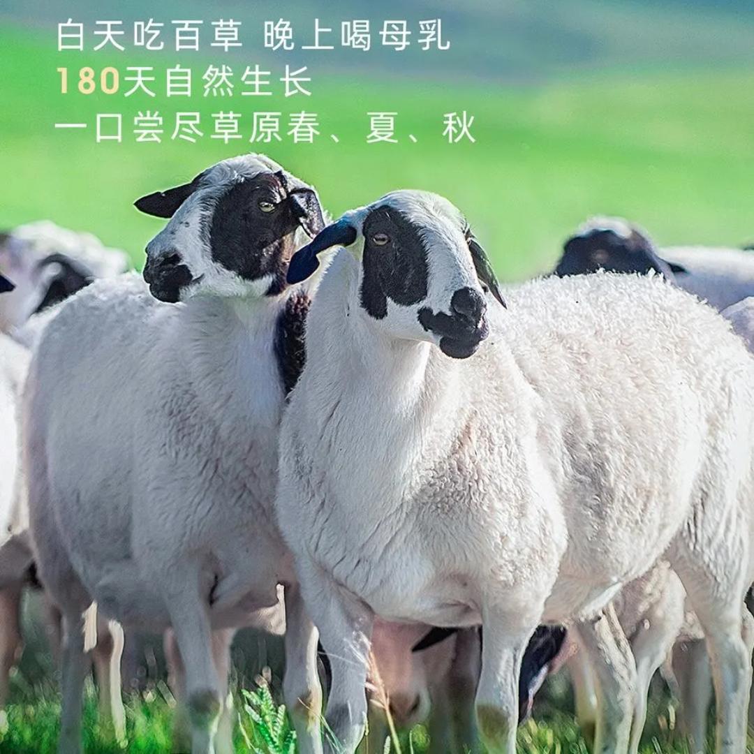 新鲜内蒙牛羊肉