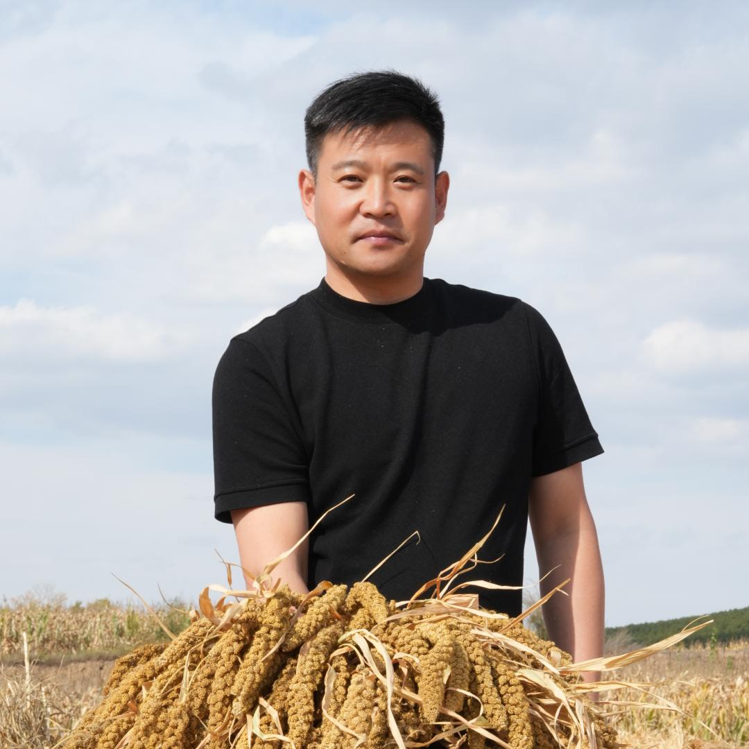 六分地（老白）品质卓越