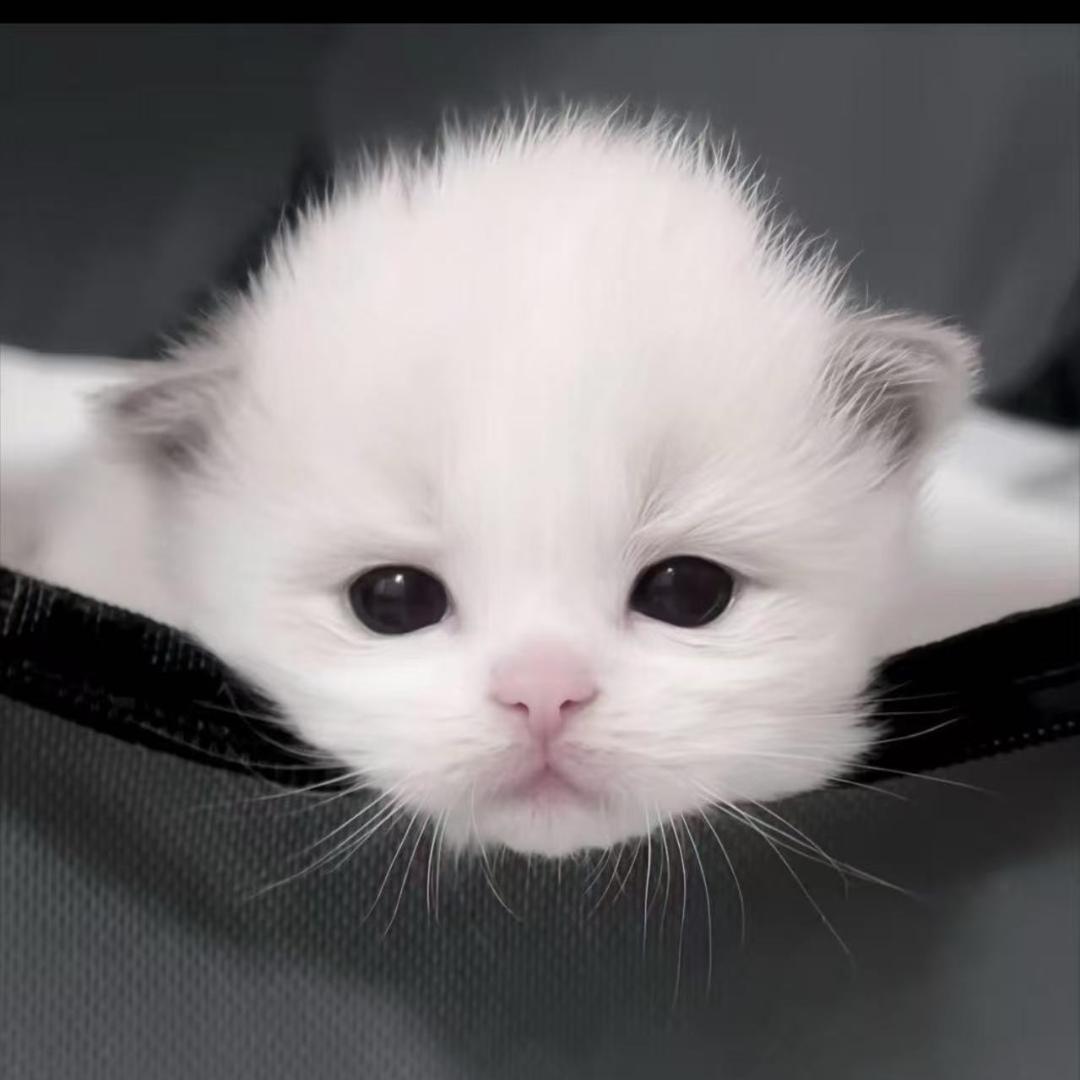 路过解机器码(白签 环境)