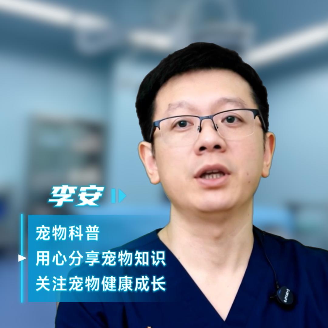 李安-宠物健康指南