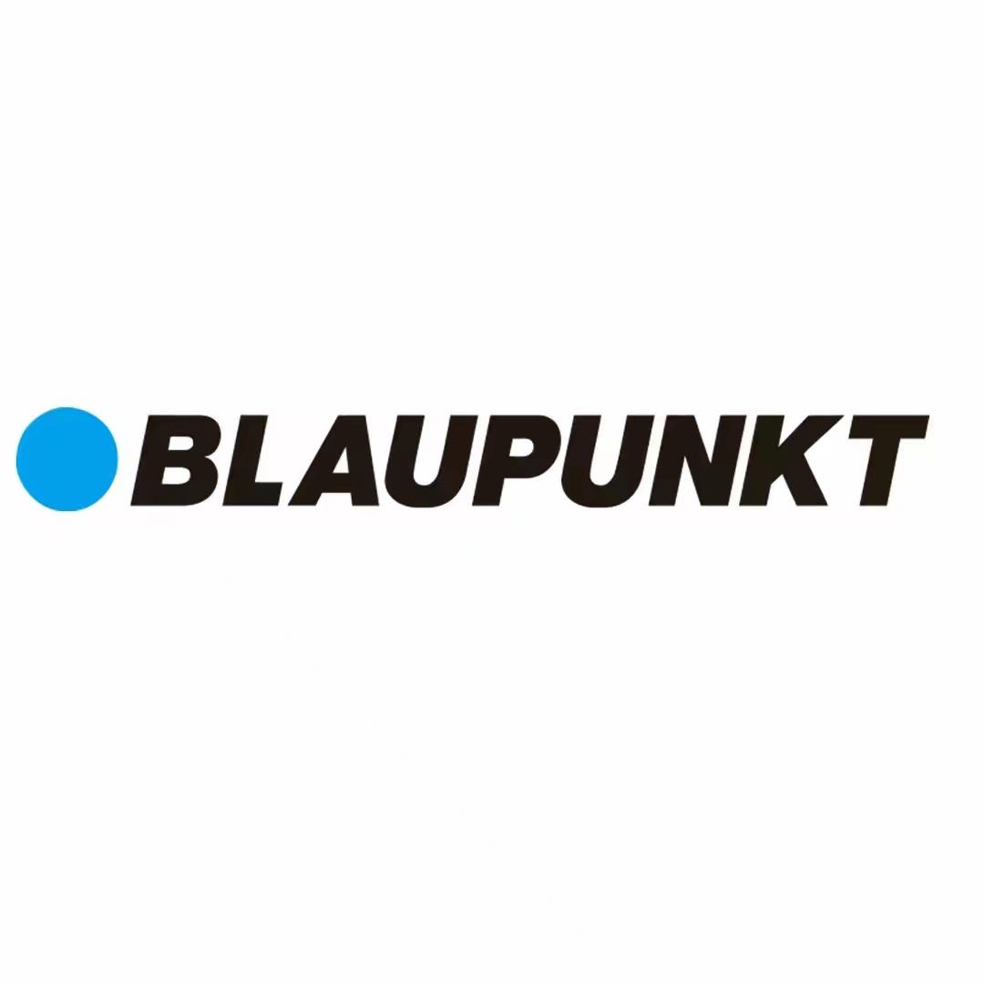 Blaupunkt蓝宝原汁机
