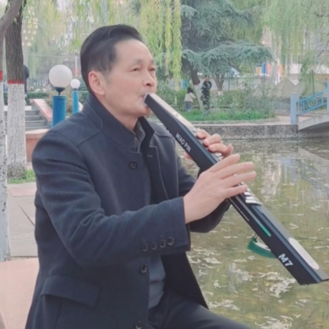 老赵音乐——电吹管