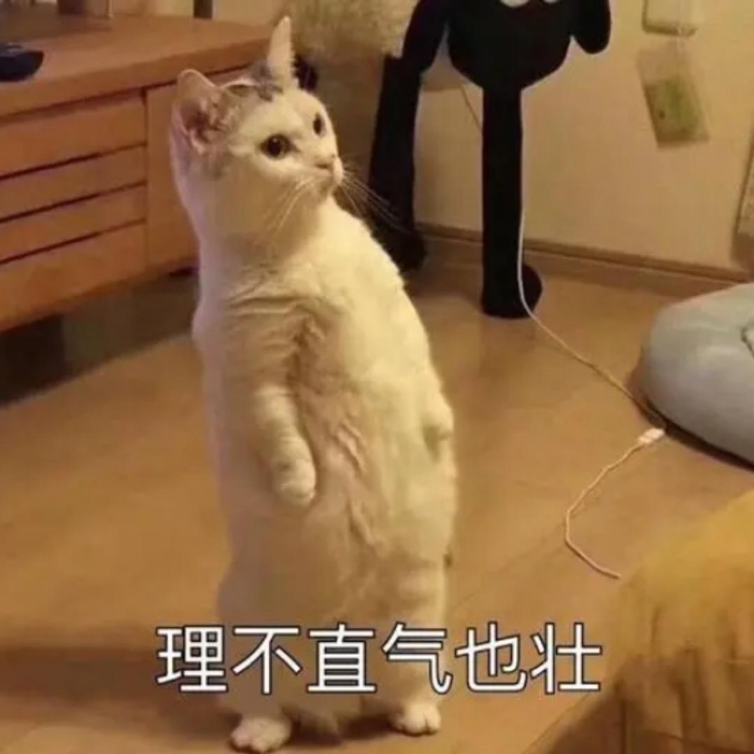 ✐ ² ⁵ ⁴ 🥳　　　　  　广告✕