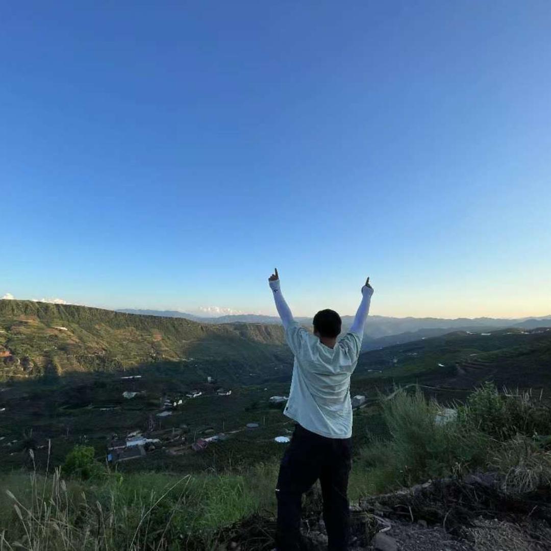 小马儿在乡村