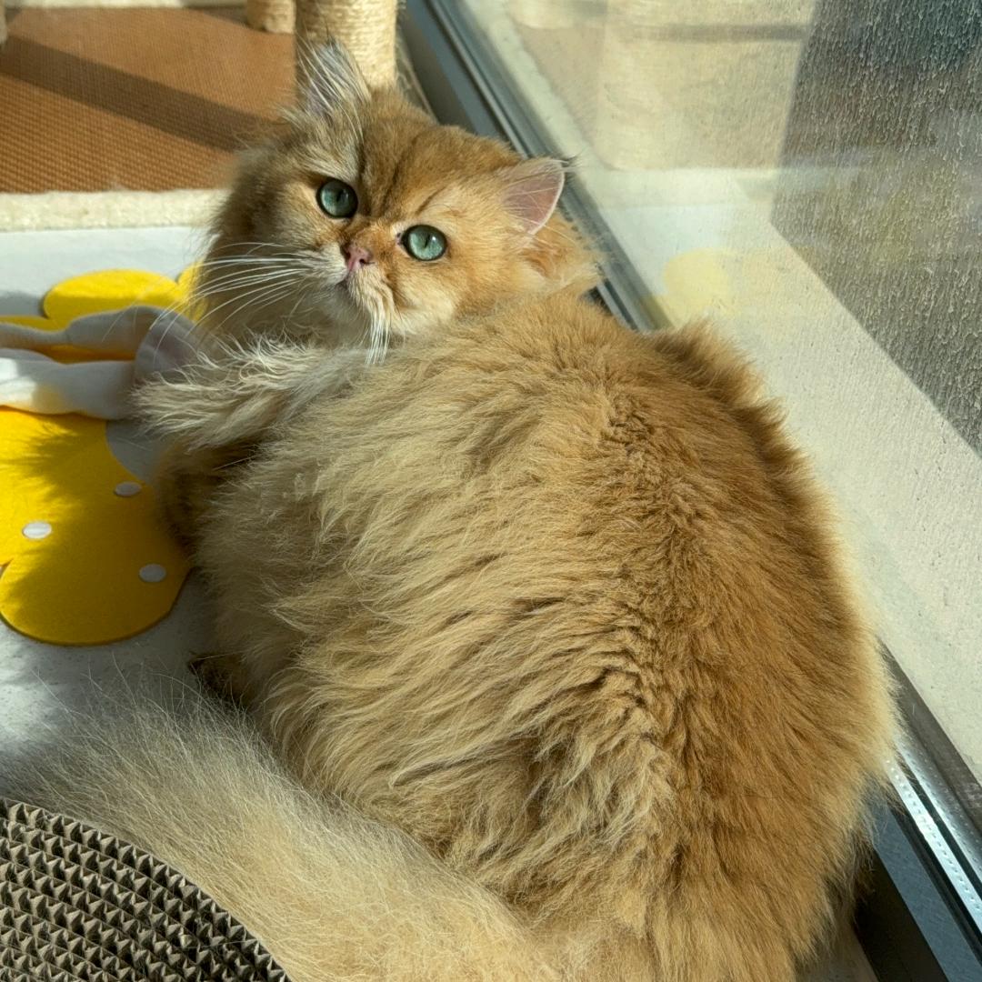 Deepdrink程序员夜猫疯