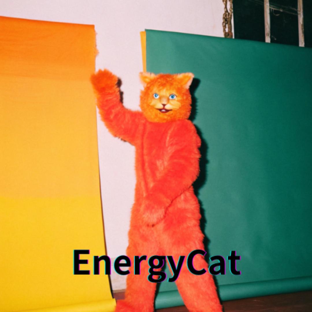 能量猫科技